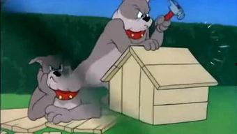 灰小羊视频爆料,揭秘娱乐圈幕后真相